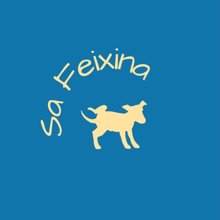EL PERRITO SA FEIXINA